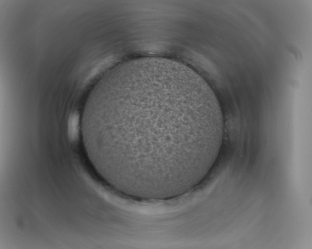 X0000114090024200910191613