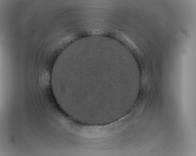 X0000114090025200910191613
