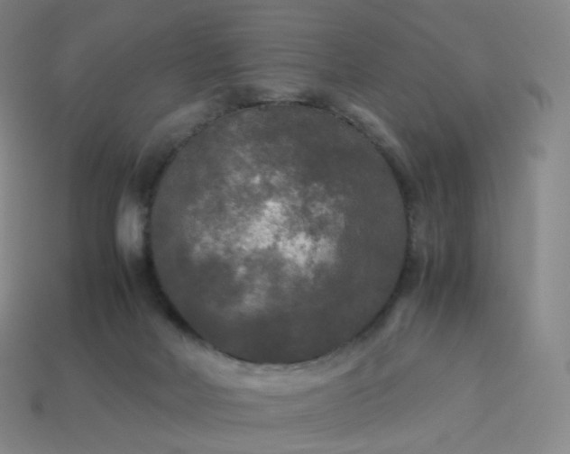 X0000114090026200910191613