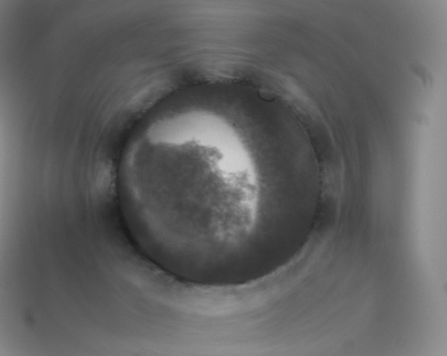 X0000114090029200910191613