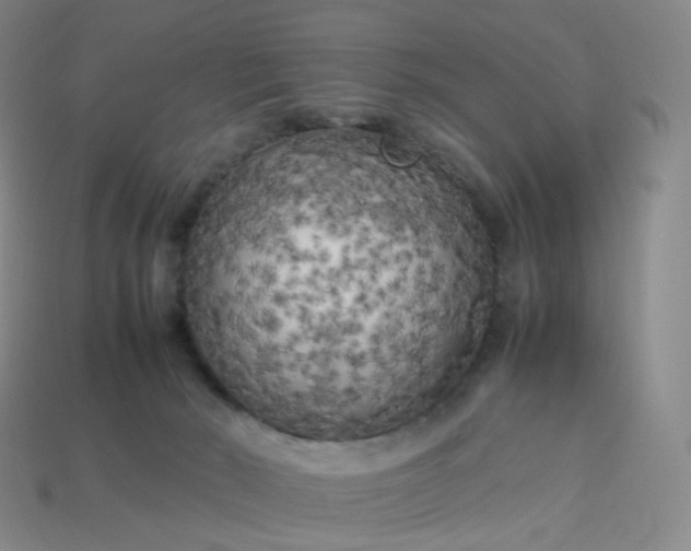 X0000114090030200910191613