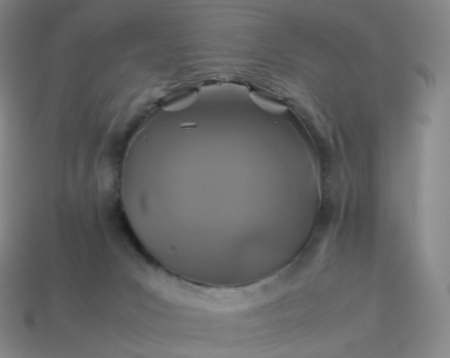 X0000114090031200910191613