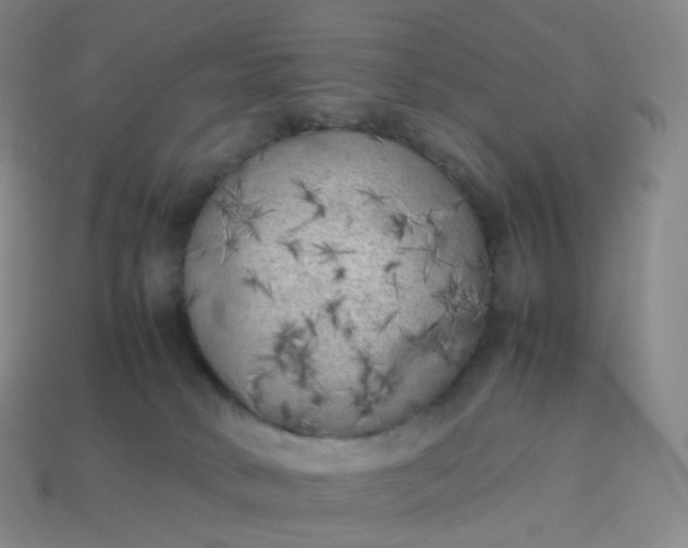 X0000114090034200910191613