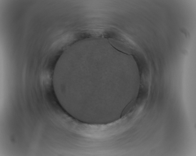 X0000114090037200910191613