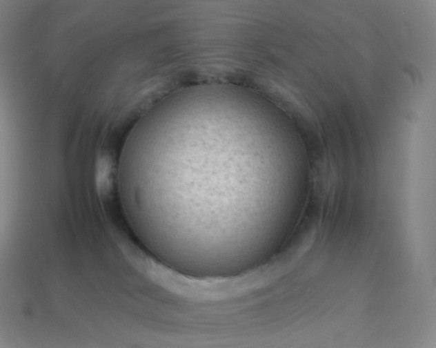 X0000114090038200910191613