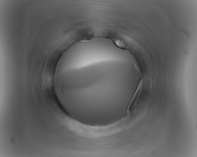 X0000114090039200910191612