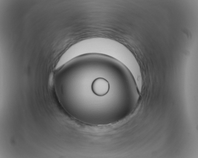 X0000114090041200910191612