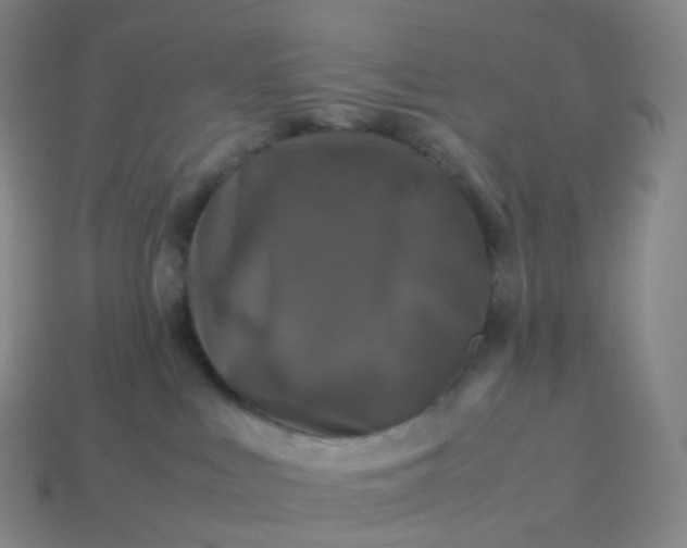 X0000114090043200910191612
