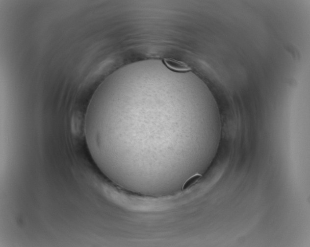 X0000114090044200910191612