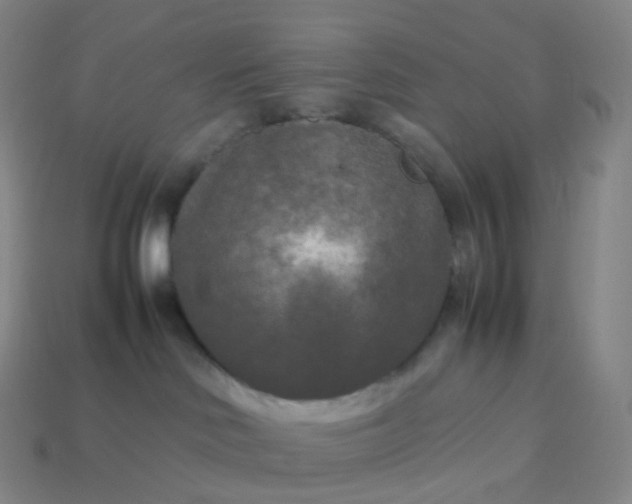 X0000114090046200910191612