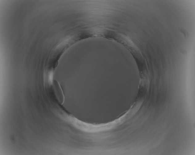 X0000114090047200910191612