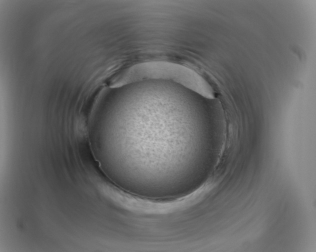 X0000114090048200910191612