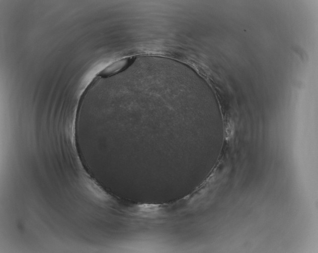 X0000114090052200910191612