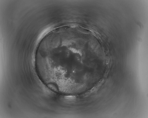 X0000114090053200910191612