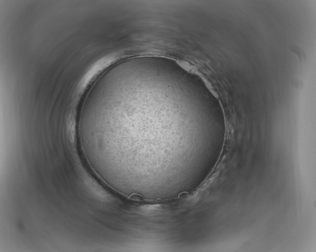 X0000114090054200910191612