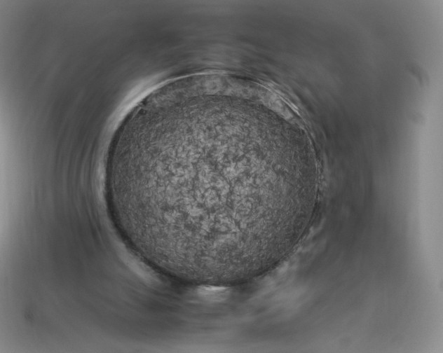 X0000114090055200910191612