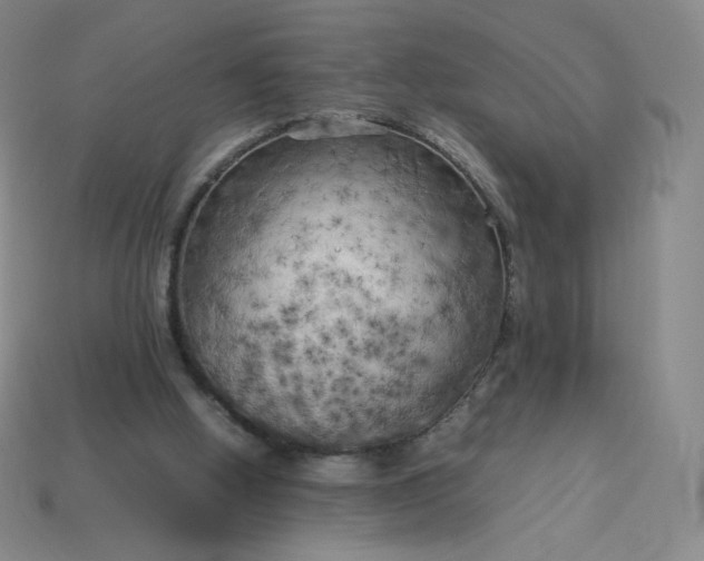 X0000114090058200910191612