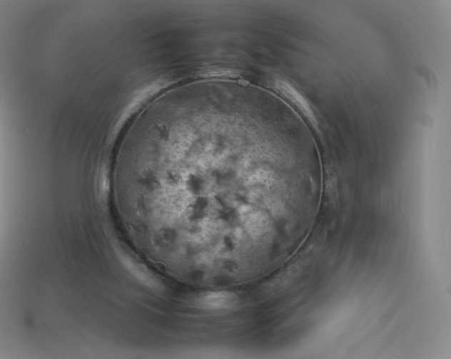 X0000114090059200910191612