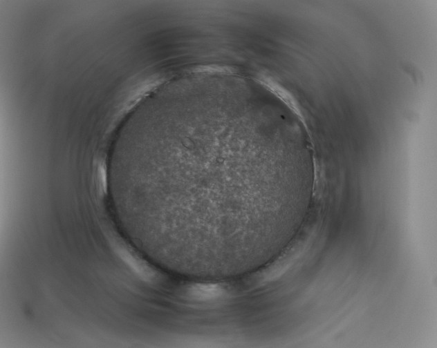 X0000114090061200910191612
