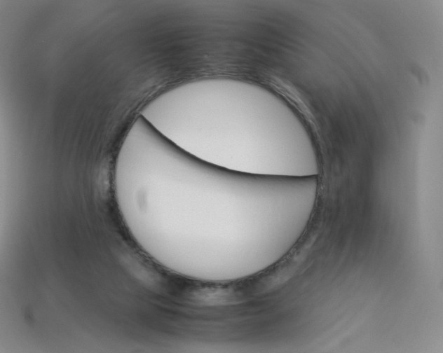 X0000114090065200910191612