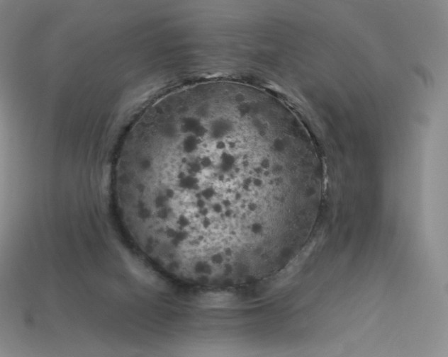 X0000114090066200910191612