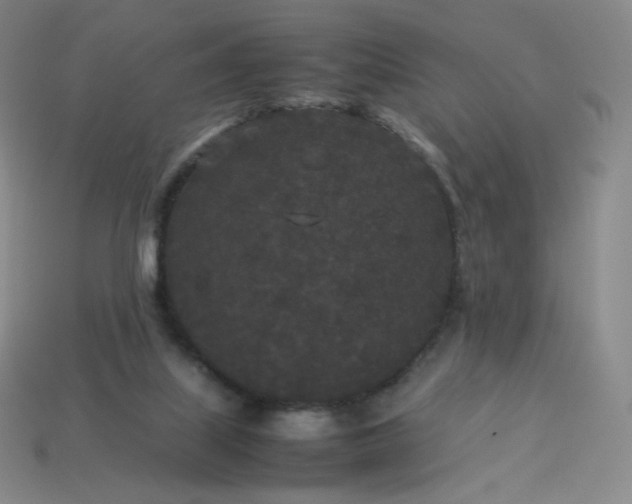 X0000114090067200910191612