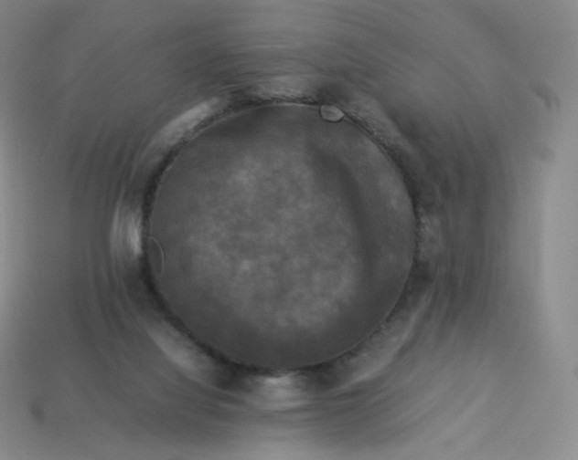 X0000114090068200910191612