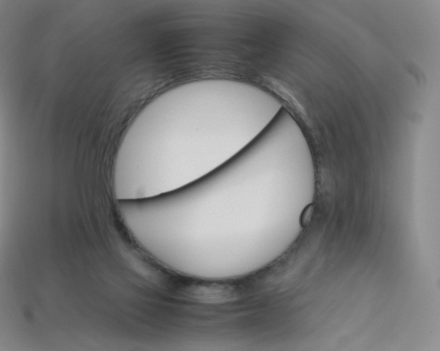 X0000114090069200910191612