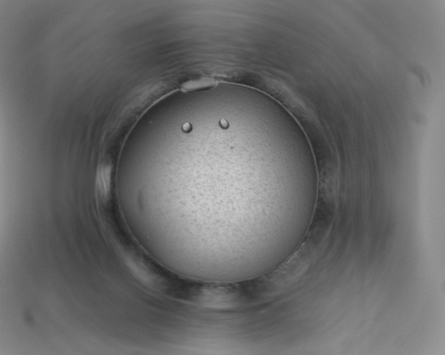 X0000114090070200910191612