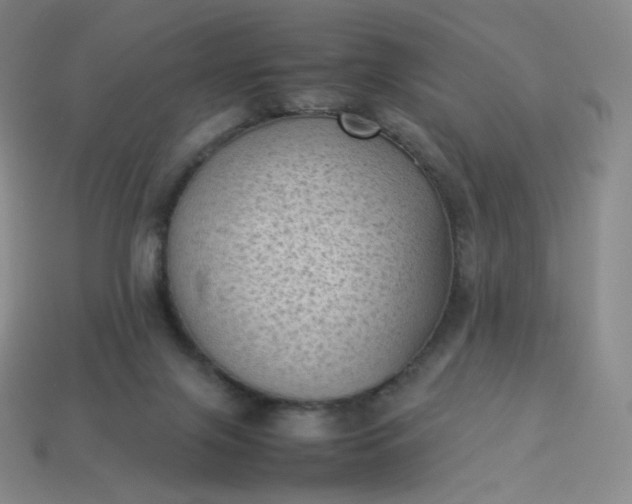 X0000114090071200910191612