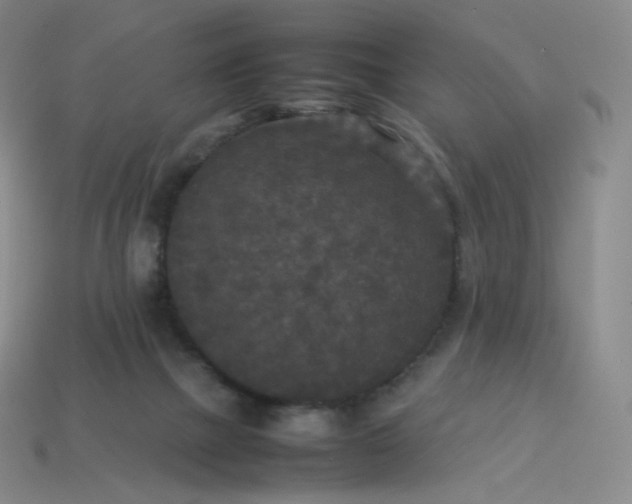 X0000114090073200910191612