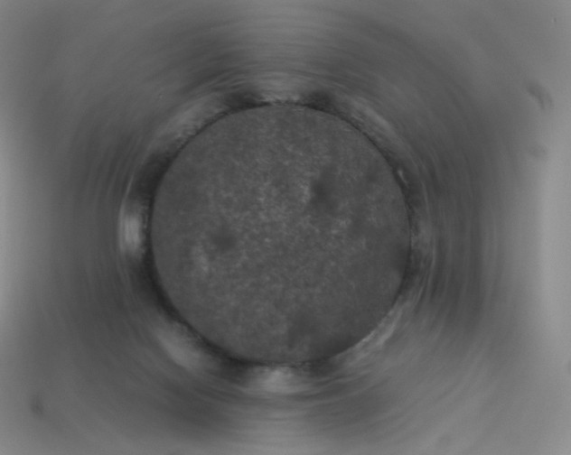 X0000114090074200910191612