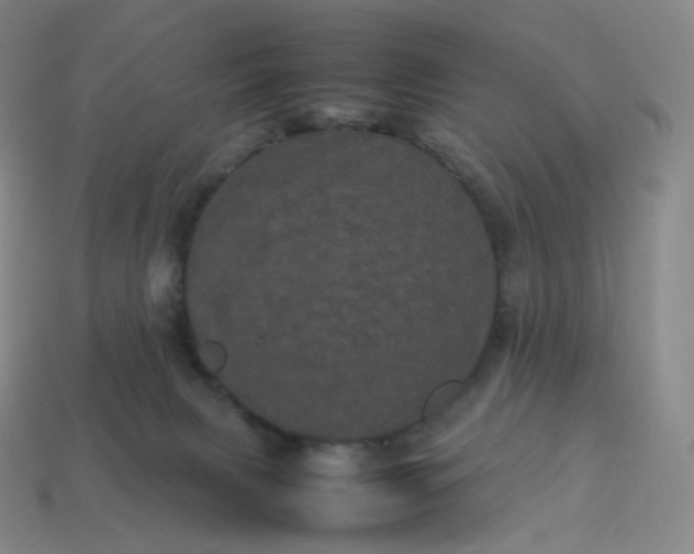 X0000114090079200910191612