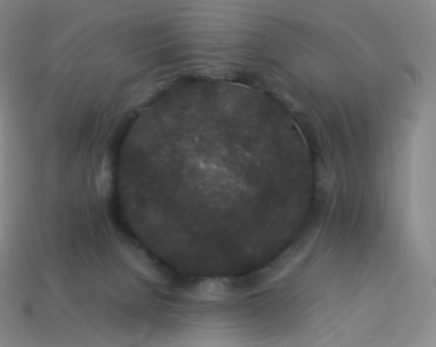 X0000114090080200910191612