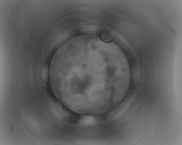 X0000114090083200910191612