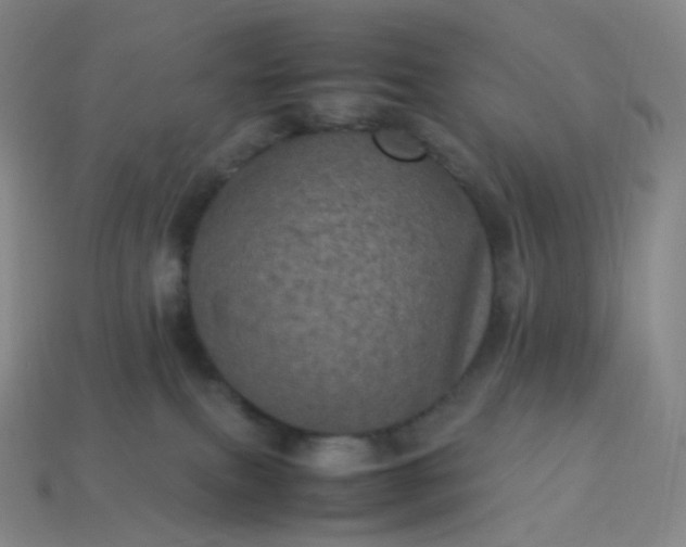 X0000114090087200910191612