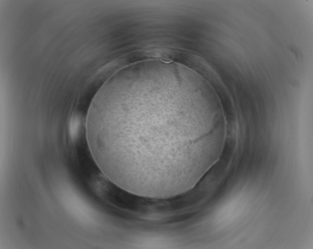 X0000114090095200910191612