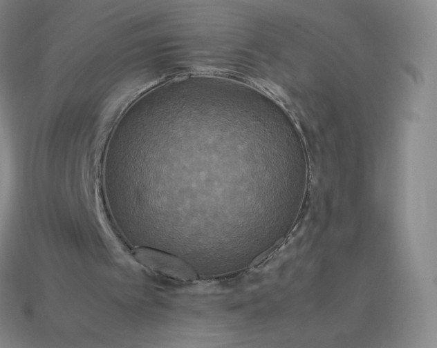 X0000114090097200910191612