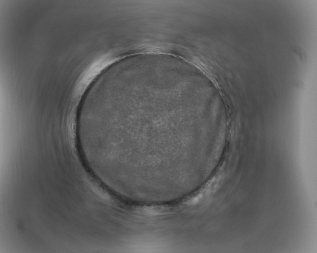 X0000114090103200910191612