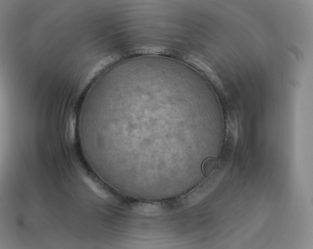 X0000114090110200910191611
