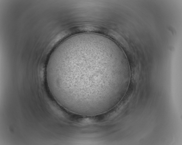 X0000114090111200910191611
