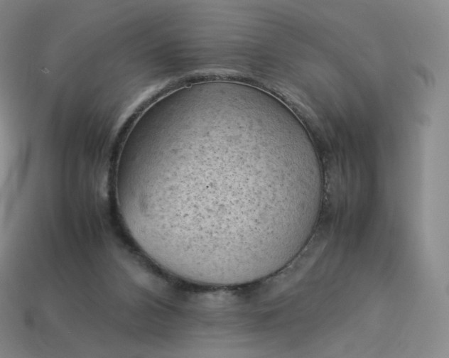 X0000114090112200910191611