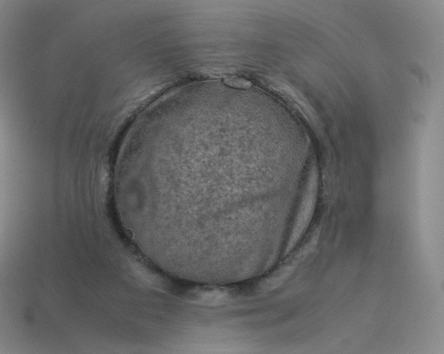 X0000114090113200910191611