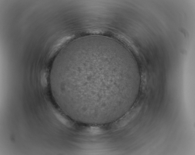 X0000114090114200910191611