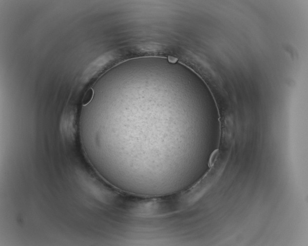 X0000114090116200910191611