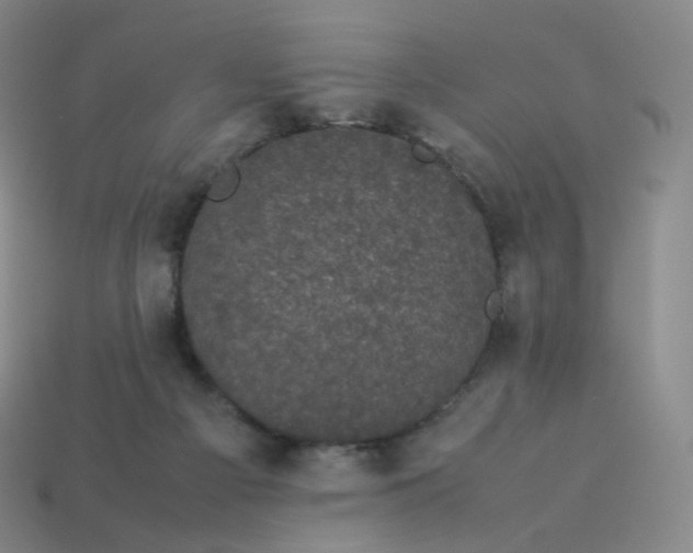 X0000114090121200910191611