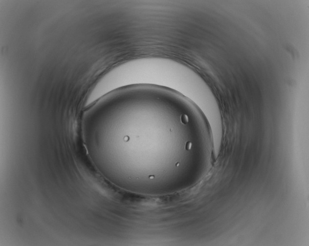 X0000114090124200910191611
