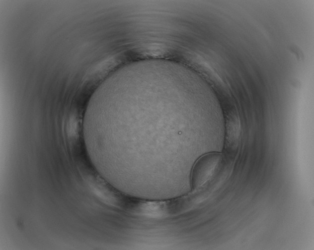 X0000114090126200910191611