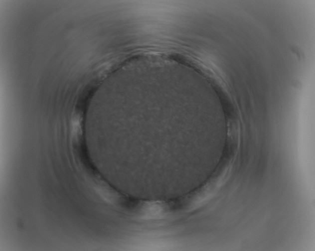 X0000114090127200910191611