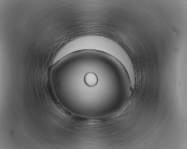 X0000114090128200910191611